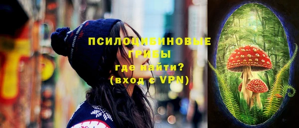 эйфоретик Лабытнанги