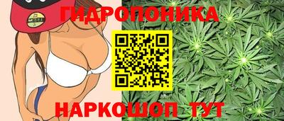 мдпв Заводоуковск