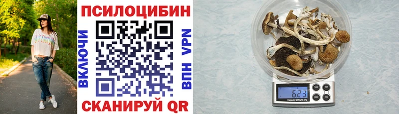 Псилоцибиновые грибы мицелий  что такое   Пятигорск 