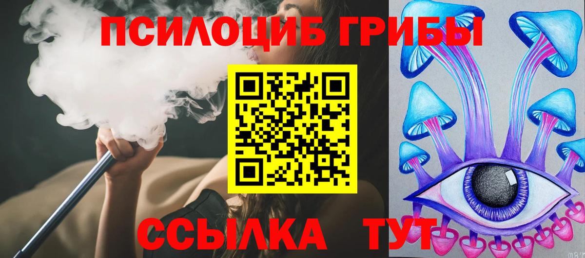 Псилоцибиновые грибы Cubensis Пятигорск