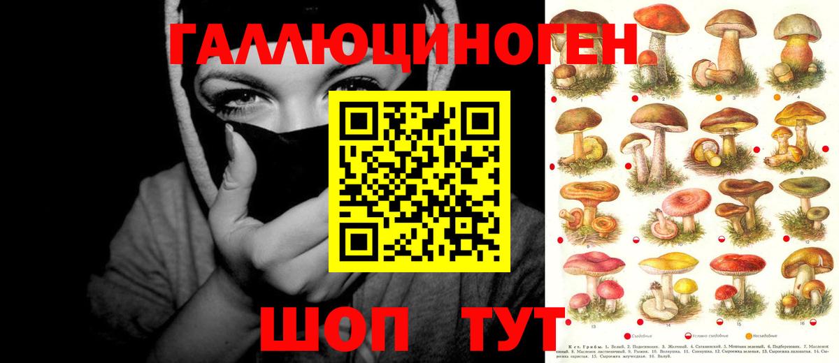 Галлюциногенные грибы мицелий  Пятигорск 