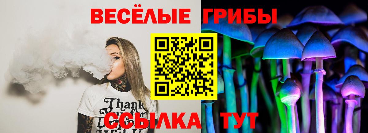 Галлюциногенные грибы ЛСД Пятигорск